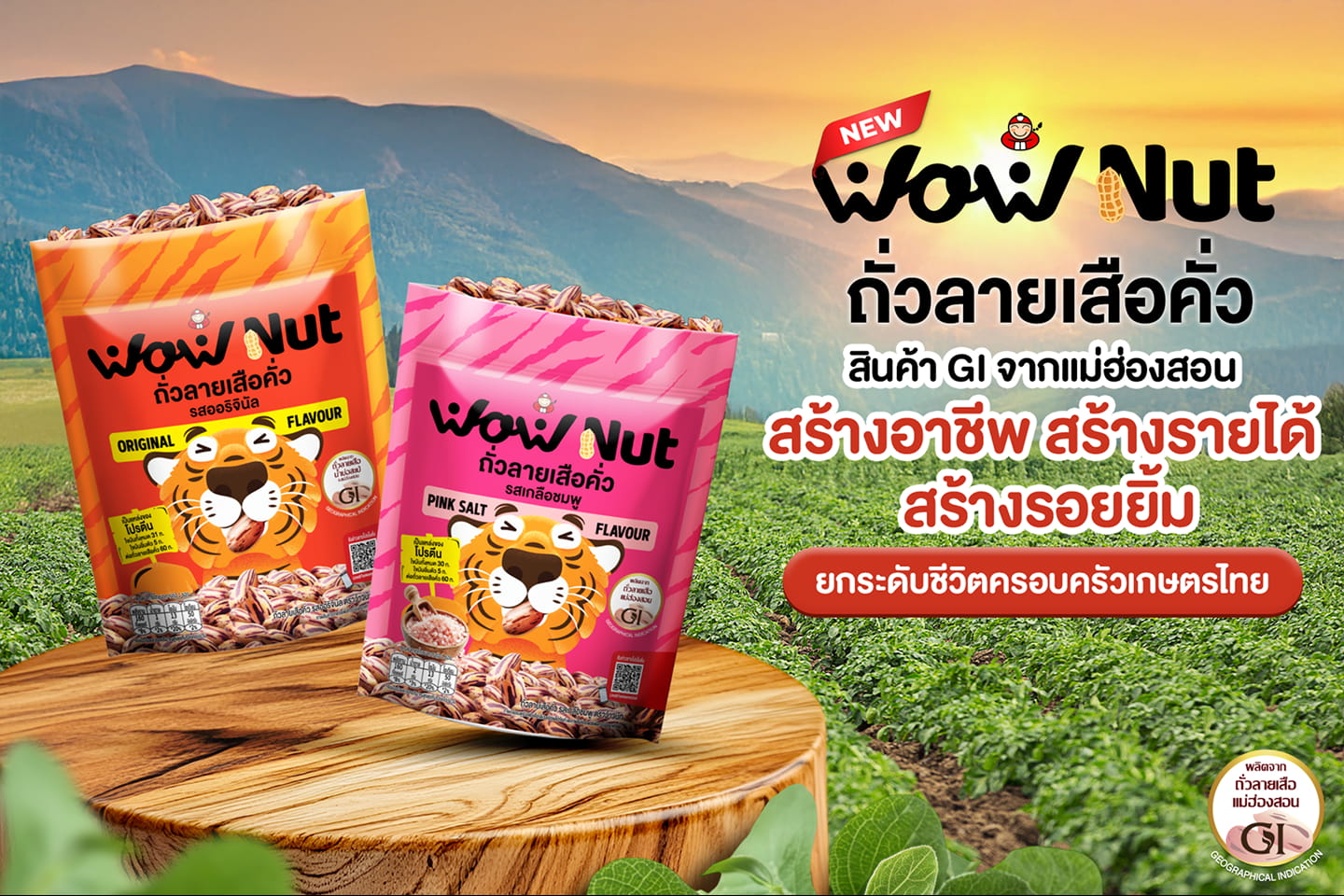 Taokaenoi Wow nut ถั่วลายเสือคั่ว