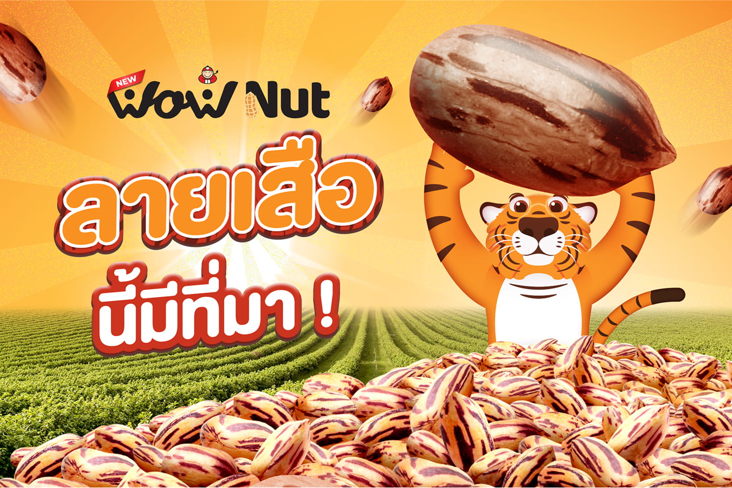 Taokaenoi Wow nut ถั่วลายเสือคั่ว